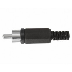 WTYK RCA CHINCH CZARNY HQ