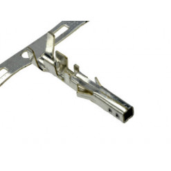 Terminal żeński, MLX5557T...